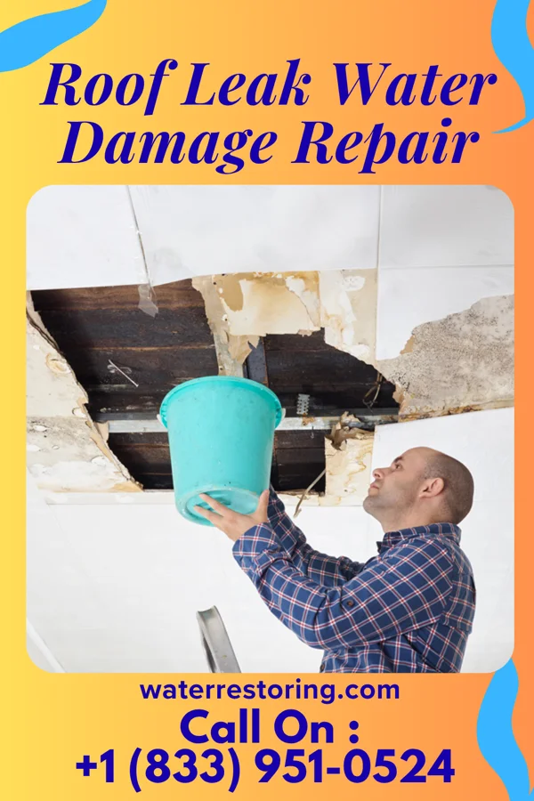 Roof Leak Water Damage Repair in Port Vincent, LA
