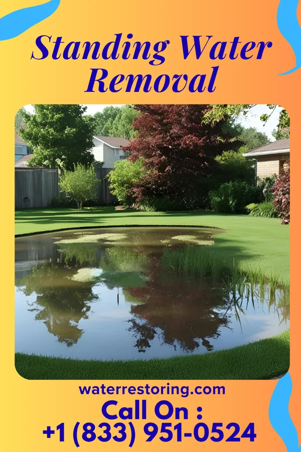 Standing Water Removal in Port Vincent, LA
